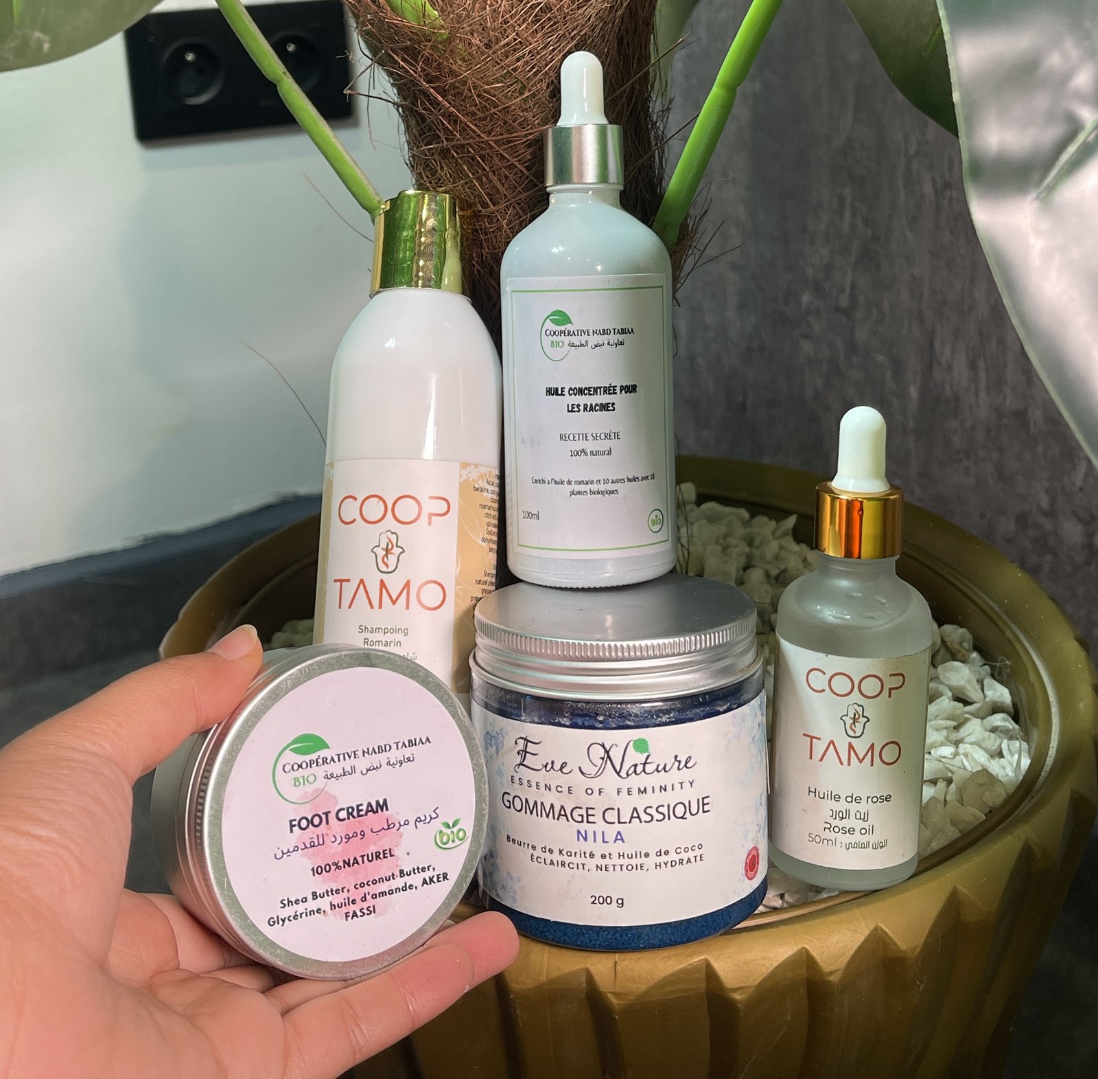 صورة الميزة